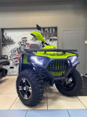 Квадроцикл BASHAN EXPLORER 300 EFI 2*4